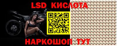 шишки Заводоуковск
